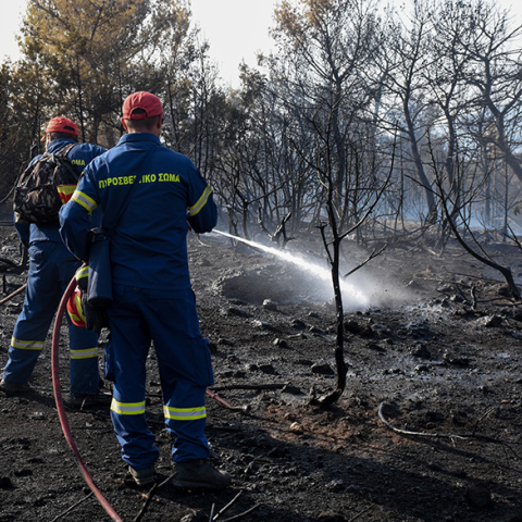 Φωτιά στο Κρανίδι