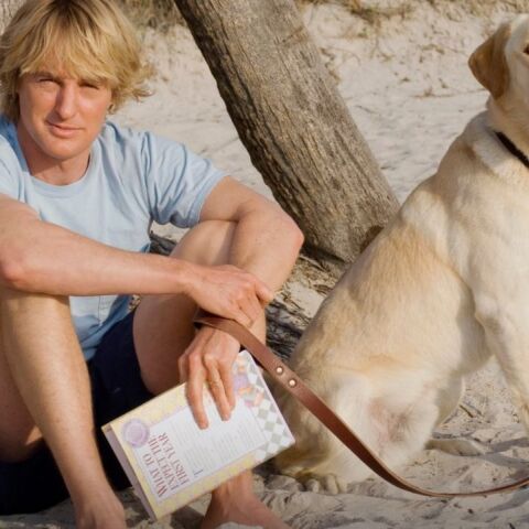 10 ταινίες με σκύλους