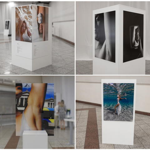 Dove ArtPit Collection