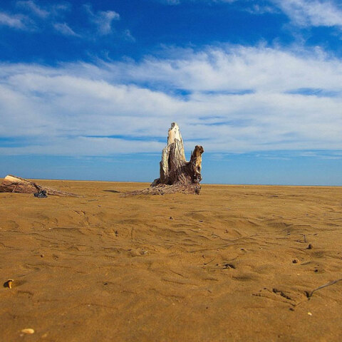 Εσείς πού δεν θα πάτε διακοπές φέτος; 