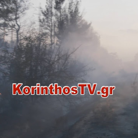 Σε κεραυνούς αποδίδονται πυρκαγιές που είναι σε εξέλιξη σε Αγίους Θεοδώρους και Περαχώρα Λουτρακίου - Σύσκεψη στην Πυροσβεστική για τα καιρικά φαινόμενα	