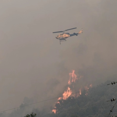 Φωτιά τώρα στη Ζαχάρω Ηλείας