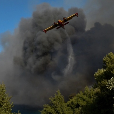 Φωτιά τώρα στην Ηλεία - Κοντά στη Ροδιά