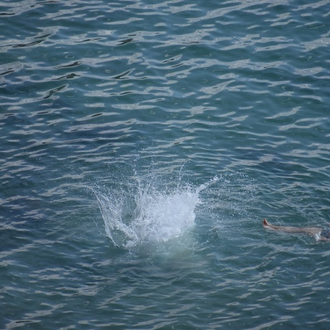 Βόλος: 11χρονος τραυματίστηκε στο κεφάλι από βουτιά