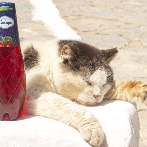 Αναψυκτικά Κλιάφας