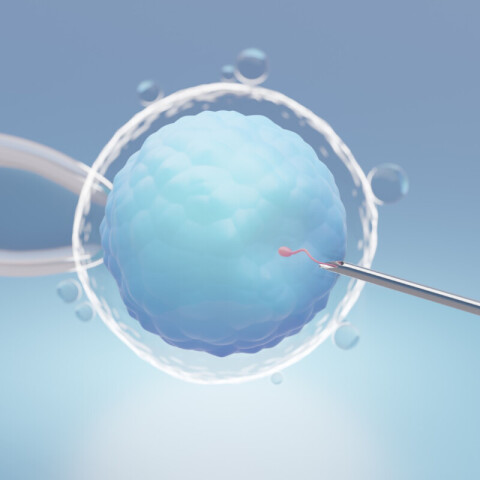 Υποβοηθούμενη Αναπαραγωγή: Το νέο πλαίσιο, οι αλλαγές και οι προκλήσεις