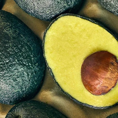 Ecovado: Η εναλλακτική λύση στην ενεργοβόρα υπερκαλλιέργεια του αβοκάντο.