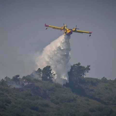 Πολύ υψηλός κίνδυνος πυρκαγιάς αύριο για 5 περιφέρειες