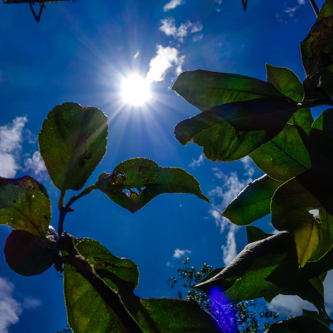 Καιρός - Ήλιος