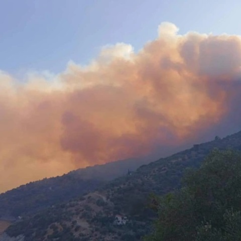 Μαίνεται το πύρινο μέτωπο στη Σάμο- Η φωτιά κατευθύνεται στον Λιμνιώνα