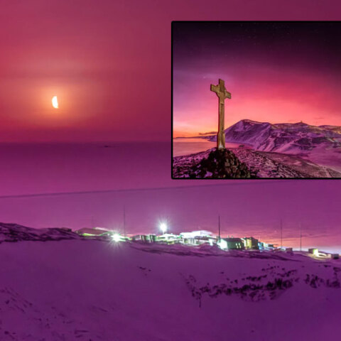 Η Ανταρκτική στα ροζ