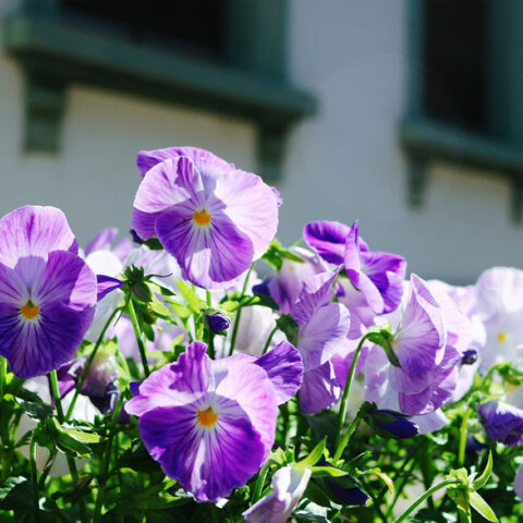 Ζεστός ο καιρός σήμερα Σάββατο (16/7)