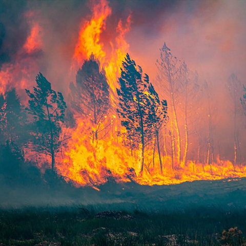 Φωτιά στη Γαλλία