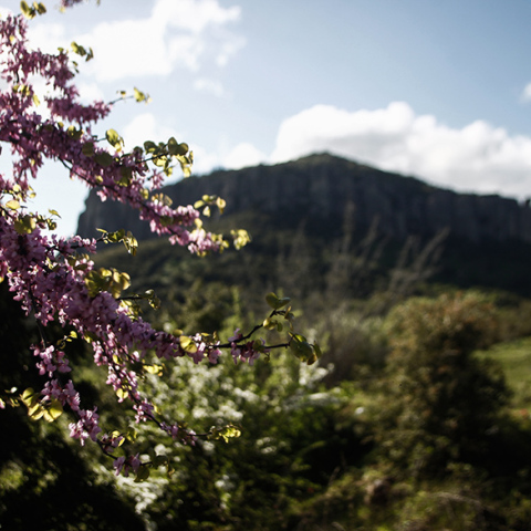 Καιρός: Μικρή ανάσα δροσιάς σήμερα Δευτέρα 18 Ιουλίου 2022