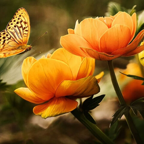 Ηλιοφάνεια σήμερα Κυριακή 17 Ιουλίου στις περισσότερες περιοχές στην Ελλάδα