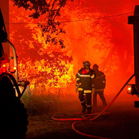 Εφιαλτικές εικόνες στην Ευρώπη – Φωτιές και καύσωνας με θύματα – Οι φλόγες έζωσαν ακόμη και τρένο