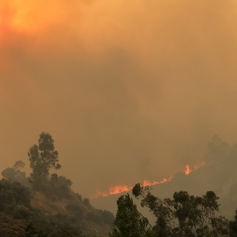 Πυρκαγιά σε δύο μέτωπα στην Πεντέλη - Eκκενώνεται το Ντράφι