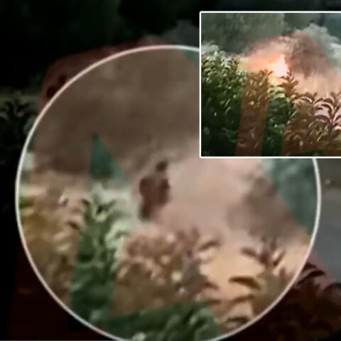 Ο εμπρηστής που έβαλε φωτιά στην Παλλήνη