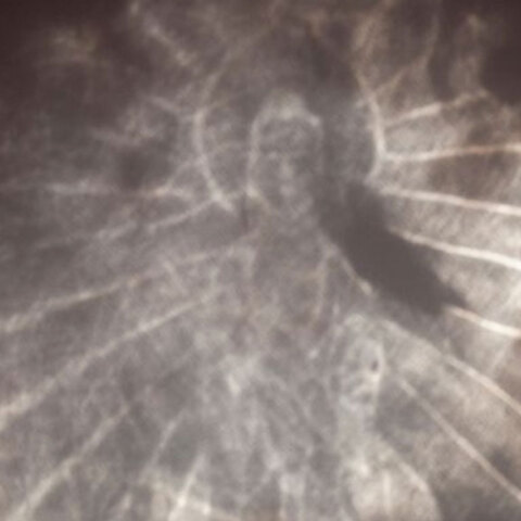 Η κρυμμένη εικόνα του Βούδα σε καθρέφτη του 16ου αιώνα