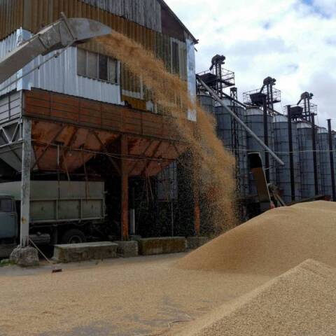 Ουκρανία: Τι προβλέπει η συμφωνία για την εξαγωγή των ουκρανικών σιτηρών	