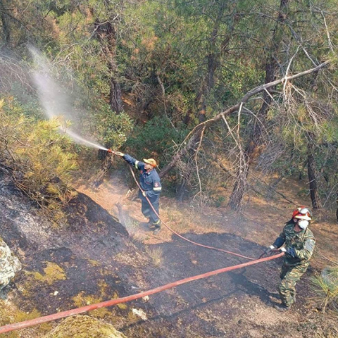 Πυρκαγιά στο δάσος της Δαδιάς