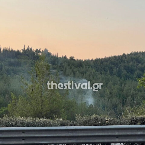 Πυροσβέστες στη Θεσσαλονίκη πρόλαβαν τη φωτιά στο Σέιχ Σου