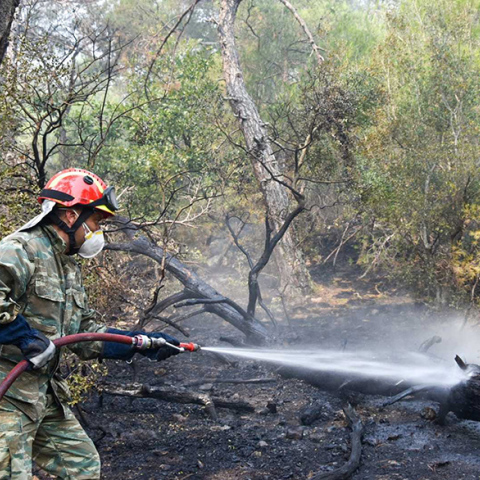 Φωτιά στη Δαδιά