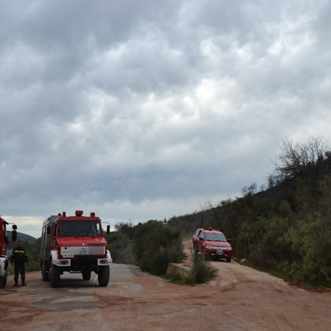 Φωτιά τώρα στη Μεσσηνία