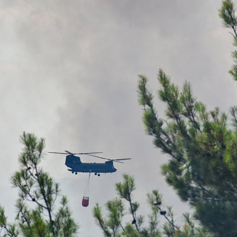 Φωτιά στον Έβρο