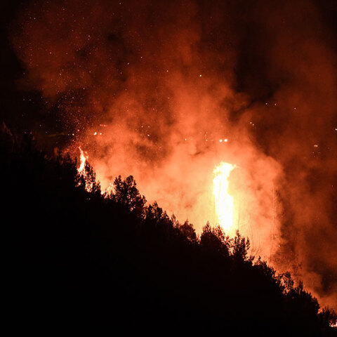 Ολονύχτια μάχη στην Ηλεία με τις φλόγες