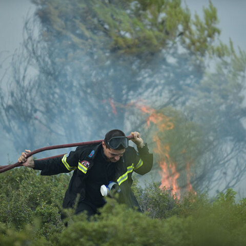 Πυροσβέστης επιχειρεί σε δασική πυρκαγιά