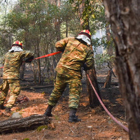 Δυνάμεις του ελληνικού στρατού μέσα στο δάσος της Δαδιάς