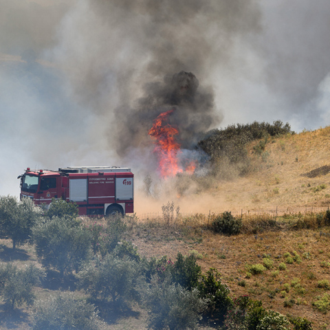 Φωτιά στη Ζωφριά, στο Ποικίλο Όρος