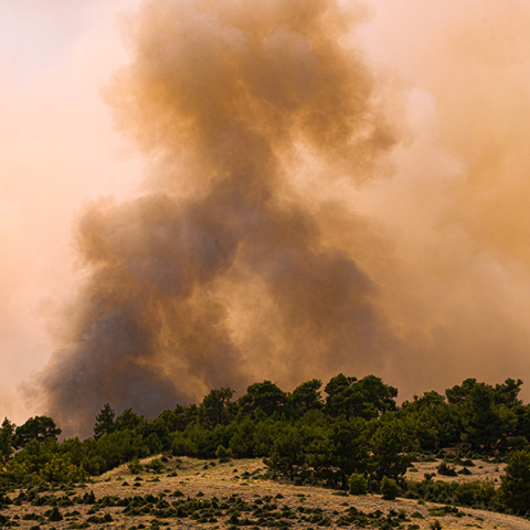 Συνεχίζεται η μάχη με τις φλόγες στη Δαδιά