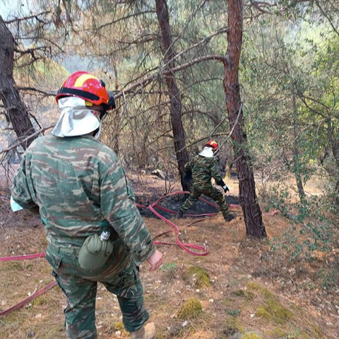 Στρατιώτες και πυροσβέστες επιχειρούν στη φωτιά στη Δαδιά στον Έβρο