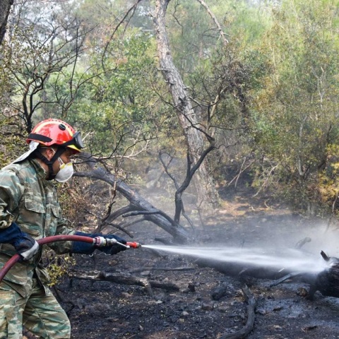 ΣΥΜΒΟΛΗ ΤΩΝ ΕΝΟΠΛΩΝ ΔΥΝΑΜΕΩΝ ΣΤΗ ΠΥΡΚΑΓΙΑ ΣΤΗ ΔΑΔΙΑ ΣΟΥΦΛΙΟΥ ΕΒΡΟΥ
