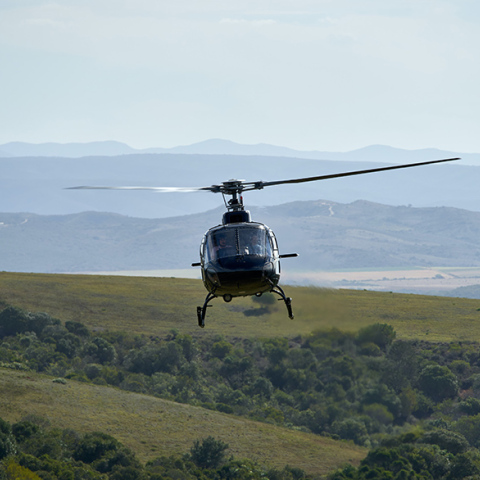 Ελικόπτερο