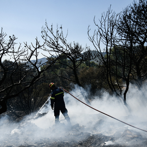 Φωτιά τώρα στη Μάνδρα