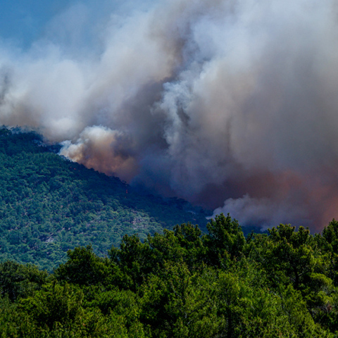 Αναζωπύρωση της φωτιάς στη Λέσβο