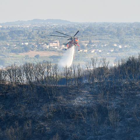 Προσαγωγή πέντε ατόμων για τη φωτιά στα Λάβαρα Έβρου