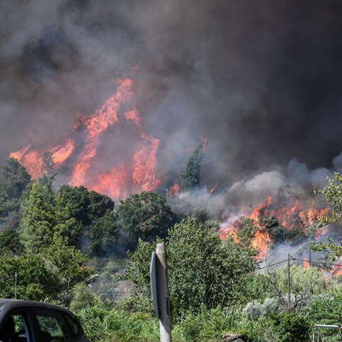 Η Ηλεία αντιμέτωπη με μία ακόμη φωτιά