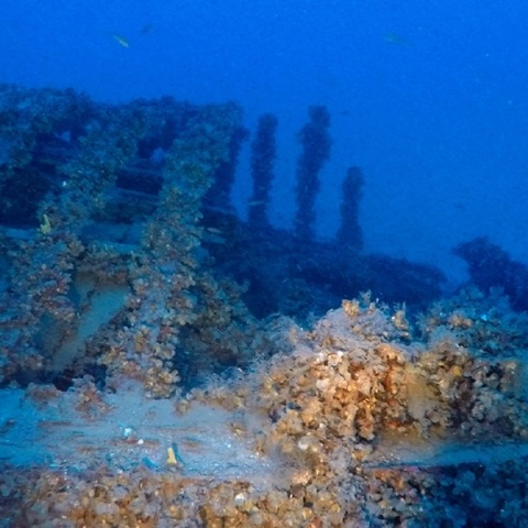 Άγνωστο ναυάγιο εντοπίστηκε δυτικά της Κύθνου (φωτογραφίες)