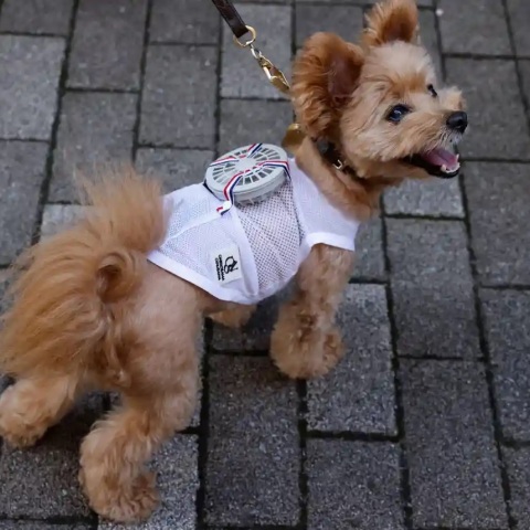  Ανεμιστήρες που φοριούνται και δροσίζουν τα κατοικίδια