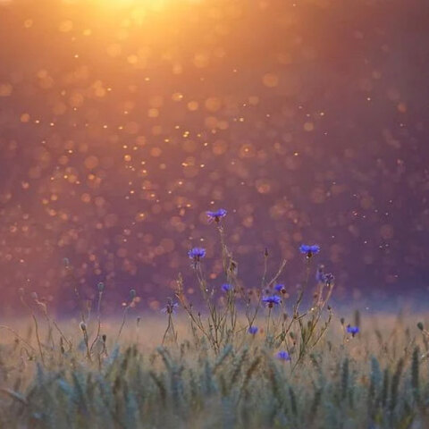 Στους 38 βαθμούς Κελσίου η θερμοκρασία σήμερα Τρίτη (2/08)