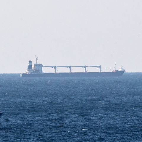 Στις τουρκικές ακτές το πρώτο φορτίο με ουκρανικά σιτηρά