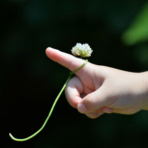 Νονά στη Ρόδο κατηγορείται ότι κακοποίησε σεξουαλικά τα δίδυμα βαφτιστήρια της