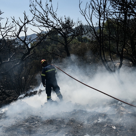 Πυροσβέστης