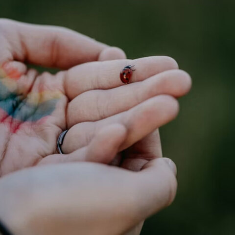 Υπόθεση παιδικής πορνογραφίας στη Σκιάθο με κατηγορούμενο 39χρονο πυροσβέστη
