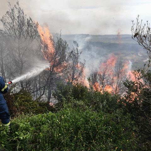 Πυροσβέστης