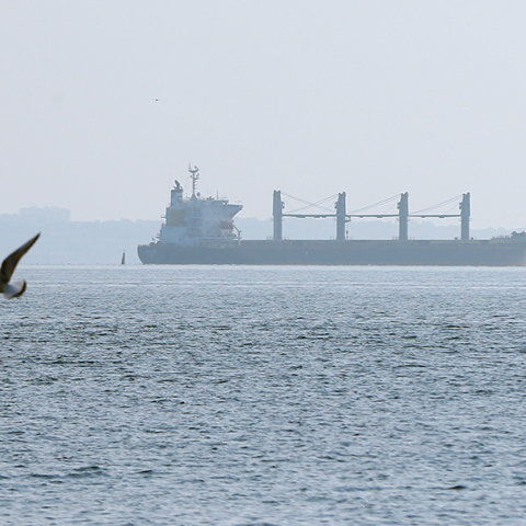Τέσσερα φορτηγά πλοία αναχωρούν από την Ουκρανία φορτωμένα με σιτηρά